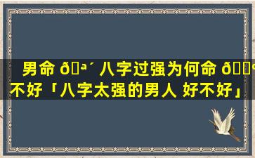 男命 🪴 八字过强为何命 🌺 不好「八字太强的男人 好不好」